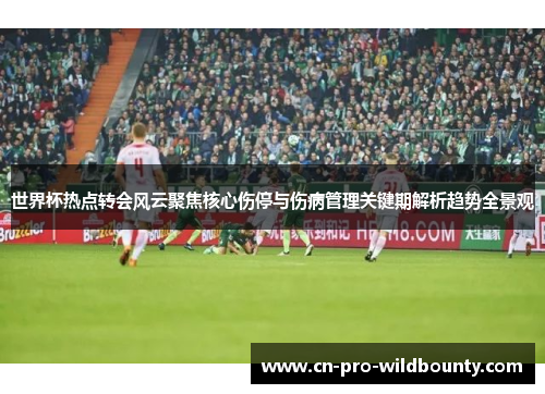 世界杯热点转会风云聚焦核心伤停与伤病管理关键期解析趋势全景观