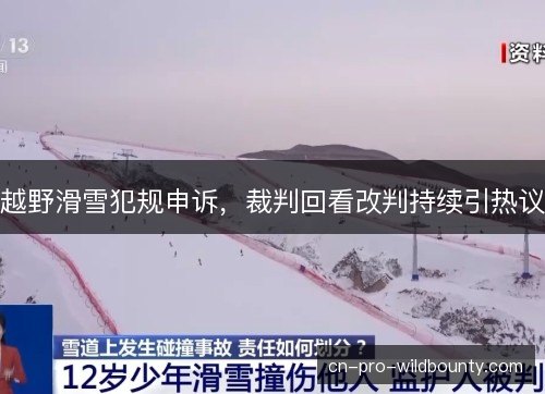 越野滑雪犯规申诉,裁判回看改判持续引热议 越野滑雪犯规申诉,裁判回看改判持续引热议